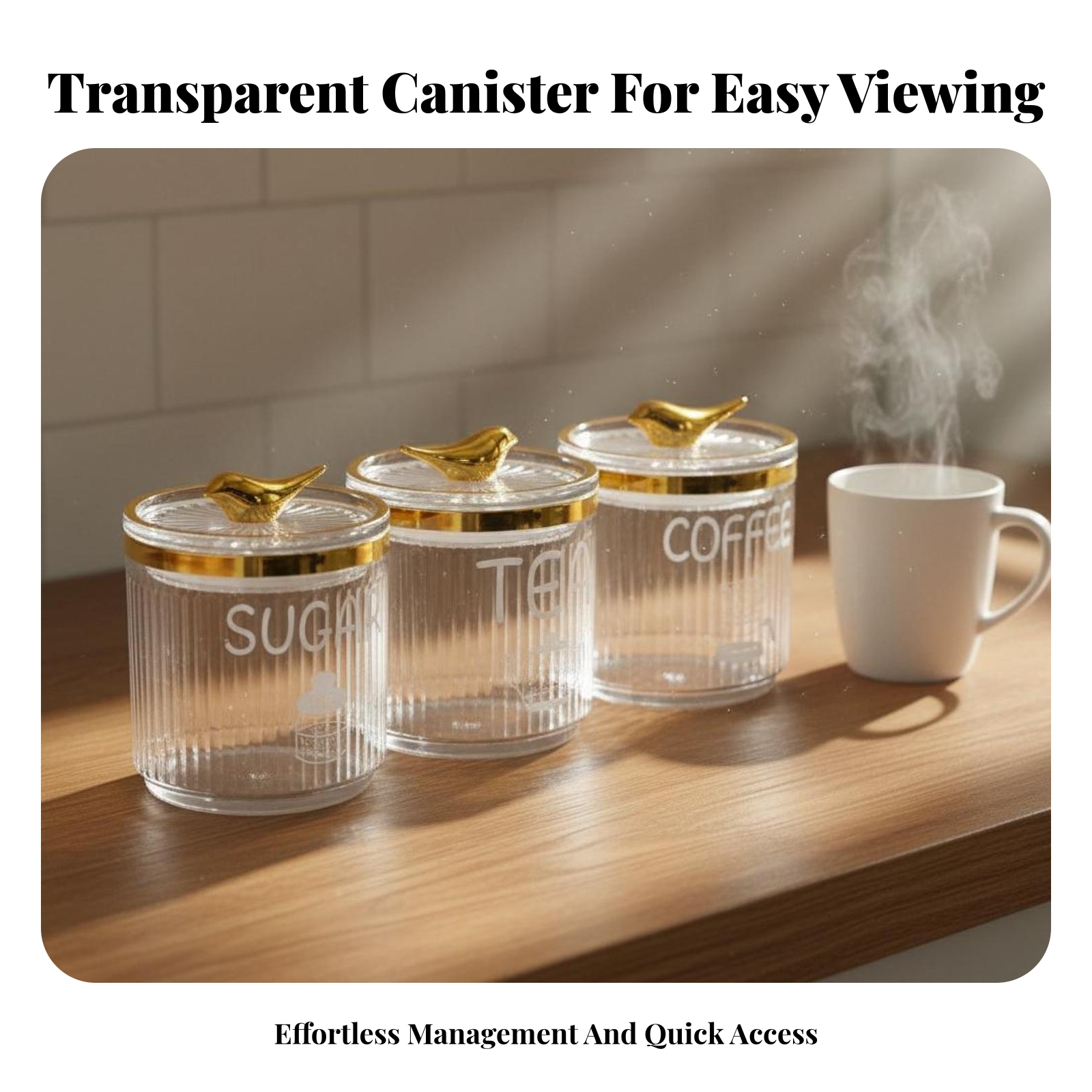 Airtight Food Container Moistu - Coffee Tea Containers ulasan dan harga