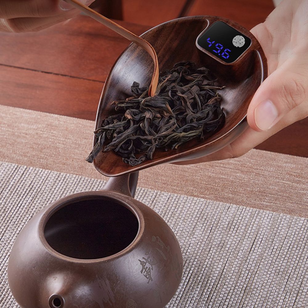 Multifunctional LED Digital Di - Coffee Tea Bean Leaf ulasan dan harga