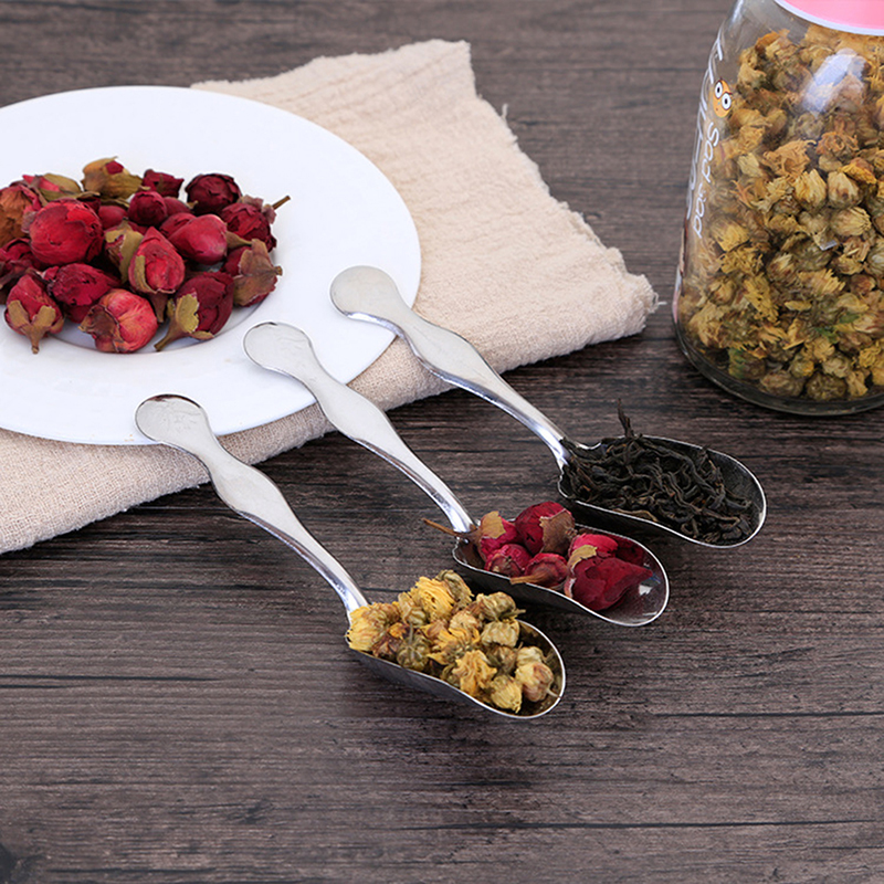 Stainless Steel Measuring Shov - Coffee Tea Bean Leaf ulasan dan harga